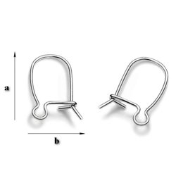 BZ-07  Earwires Silver 925