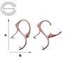 BARG-26/10 Leverbacks for 10 mm Ball Beads - Earring Hooks - Sterling Silver 925 Rose Gold Plated