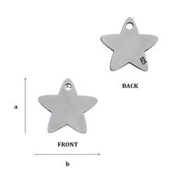 CL-503B STAR Pendant 12,0 mm Sterling Silver 925