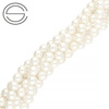 PS-RS-6,0 mm Pearls SeaShell - WHITE - Strand