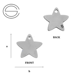 CL-503B STAR Pendant 12,0 mm Sterling Silver 925